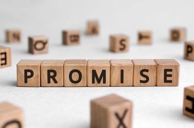 In Our Own Words: Promises and Angels - Shannon Courtois
