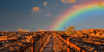 In Our Own Words: Tanaisha's Journey